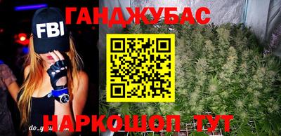 индика Новодвинск