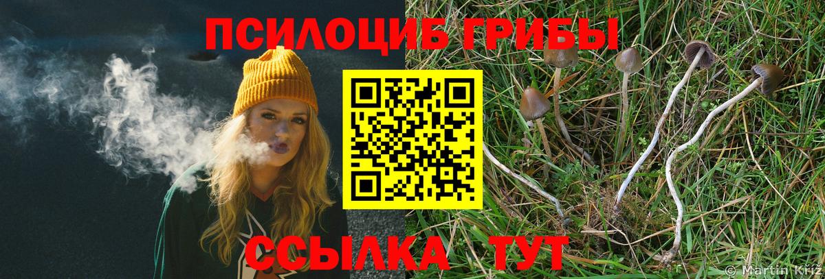 Псилоцибиновые грибы мухоморы  Вход с VPN  Серпухов 